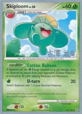 Skiploom