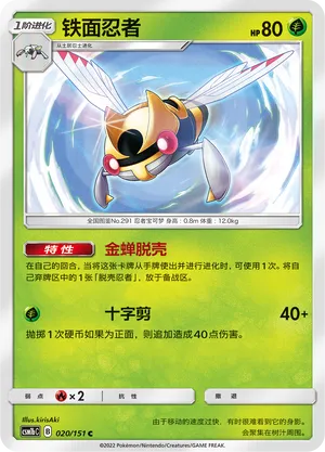Ninjask