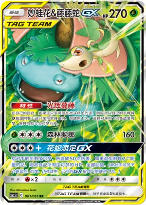 Venusaur & Snivy-GX