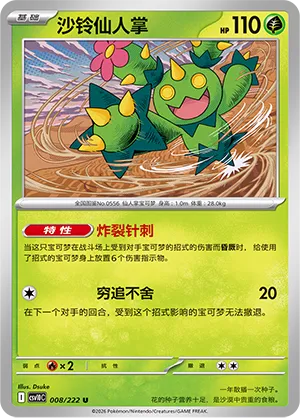 Maractus
