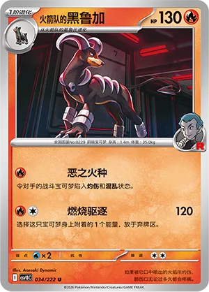 Team Rocket's Houndoom
