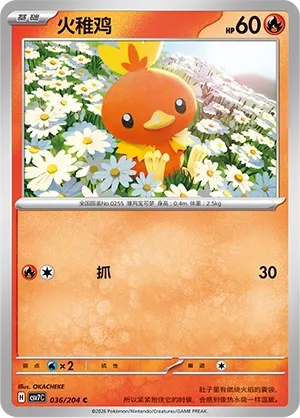 Torchic