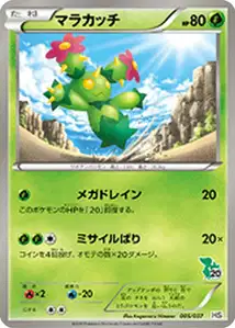 Maractus