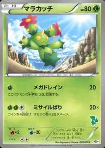 Maractus