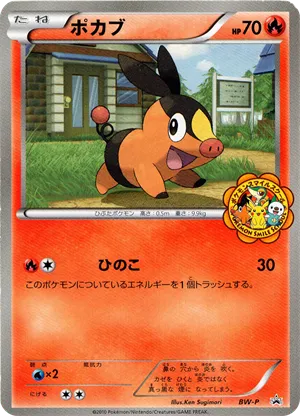 Tepig