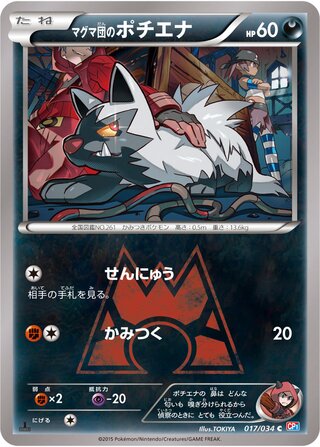 Team Magmas Poochyena