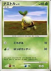 Turtwig