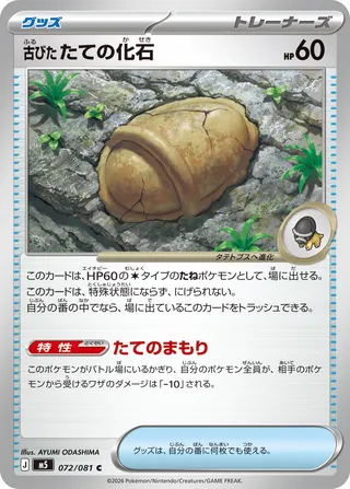 Antique Shield Fossil