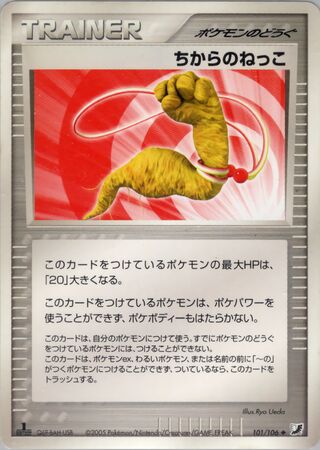 エネルギー根