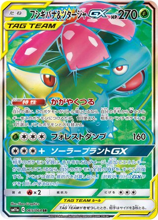 Venusaur & Snivy Gx