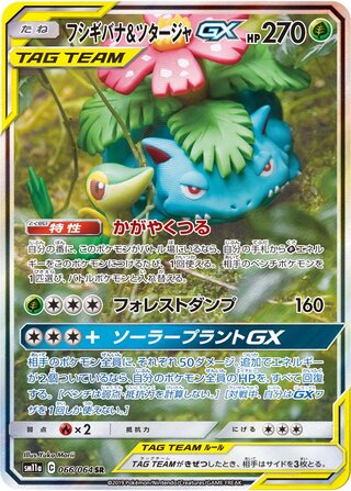 Venusaur & Snivy Gx