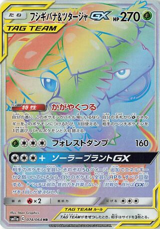 Venusaur & Snivy Gx