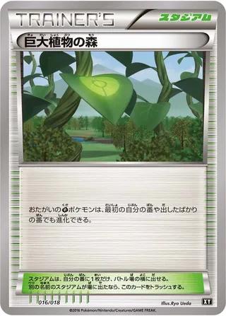 Forest Of Giant Plants