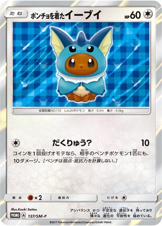 Poncho Wearing Eevee