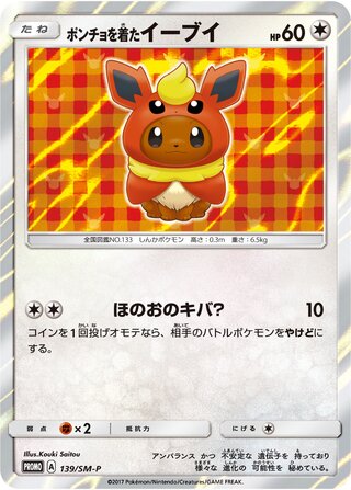 Poncho Wearing Eevee