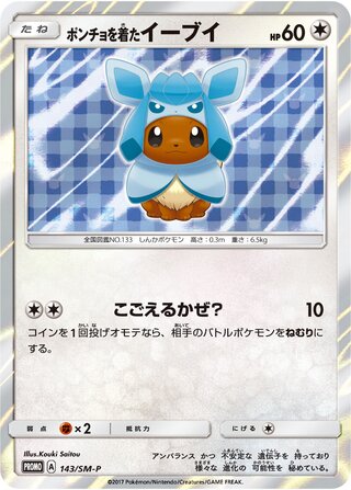 Poncho Wearing Eevee