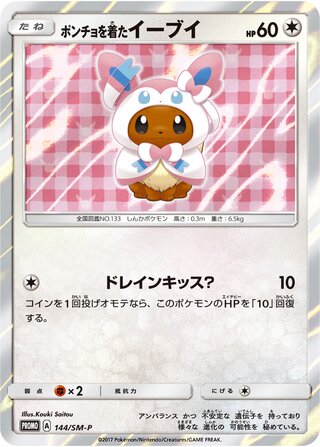Poncho Wearing Eevee