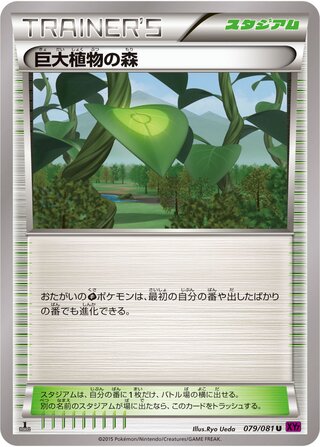 Forest Of Giant Plants